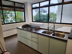 Astrid Meadows (D10), Condominium #589474651
